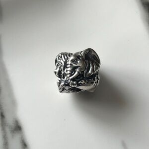 Pandora Safari Charm